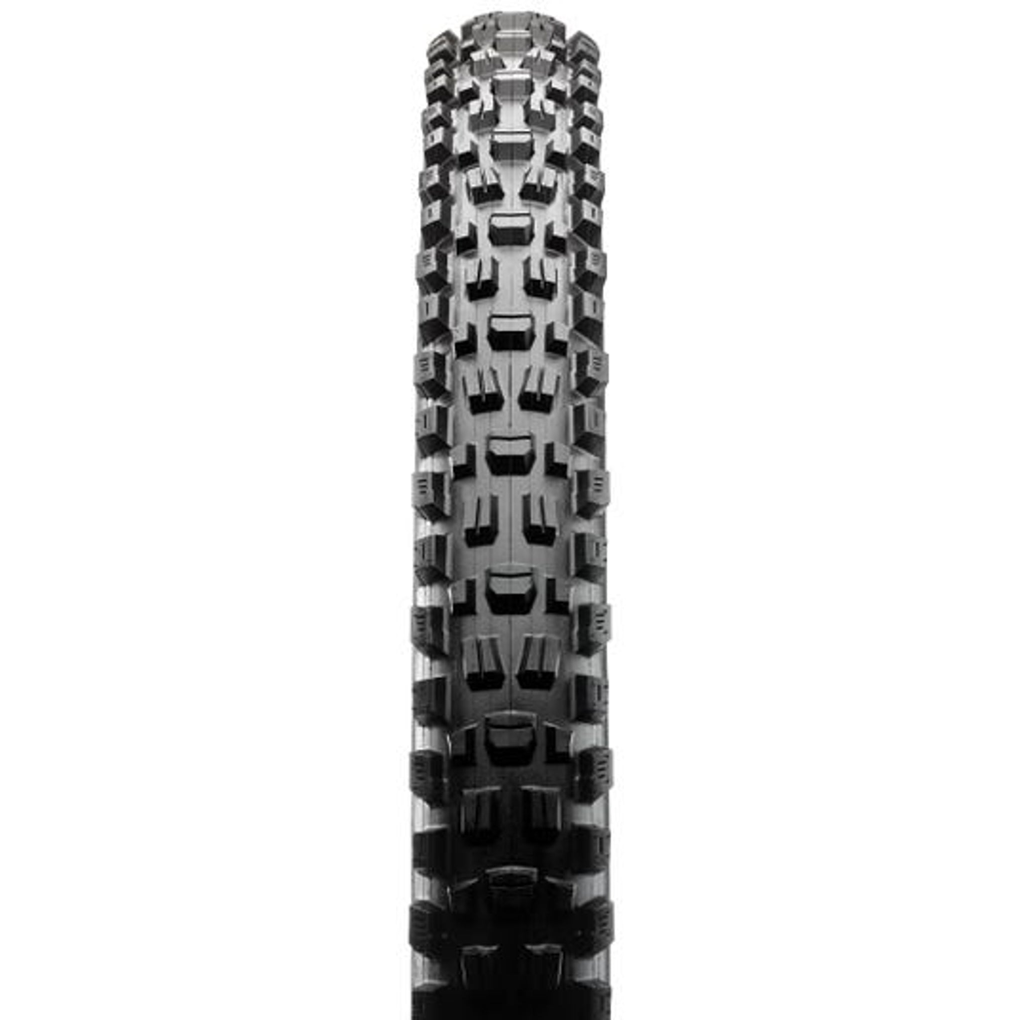 Maxxis Assegai 29 x 2.60 Folding Tyre with 3C Terra EXO+ TR 120TPI for Superior MTB Performance
