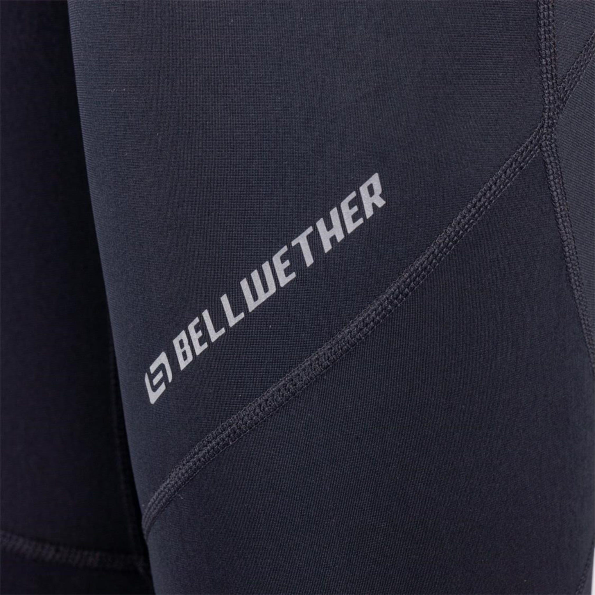 Bellwether Ladies' Thermal Riding Dress Tights with Padding for Winter